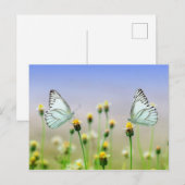 Carte Postale Papillons (Devant / Derrière)