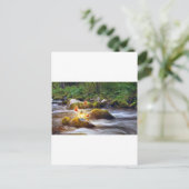 Carte Postale Papillons (Debout devant)