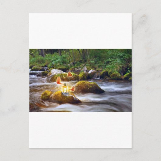 Carte Postale Papillons (Devant)