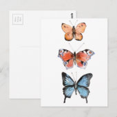 Carte Postale Papillons (Devant / Derrière)