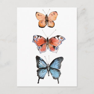 Carte Postale Papillons