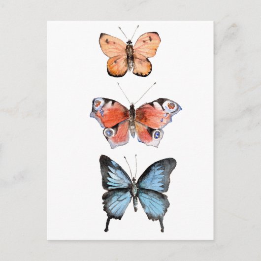 Carte Postale Papillons (Devant)