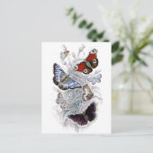 Carte Postale papillons (Debout devant)