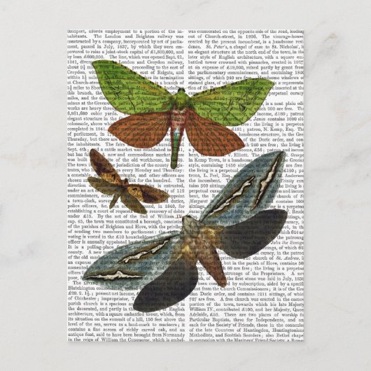 Carte Postale Papillons 4 (Devant)