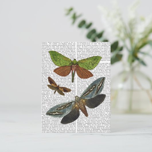 Carte Postale Papillons 4 (Debout devant)