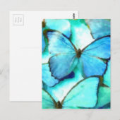 Carte Postale Papillons Aqua (Devant / Derrière)