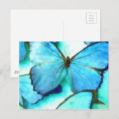 Carte Postale Papillons Aqua (Devant / Derrière)