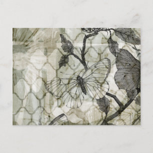 Carte Postale Papillons arabes II