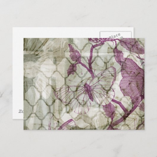 Carte Postale Papillons arabes IV (Devant / Derrière)