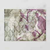 Carte Postale Papillons arabes IV (Devant)