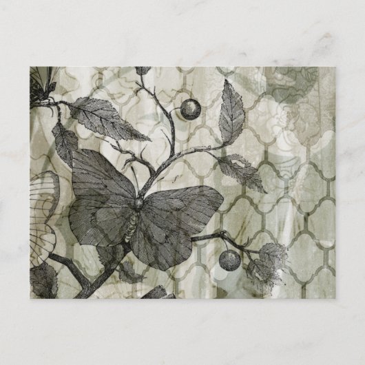 Carte Postale Papillons Arabesques I (Devant)