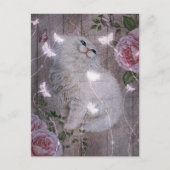 Carte Postale Papillons Blanc Kitty Chat Floral (Devant)
