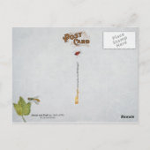 Carte Postale Papillons, chenille et fruits (Dos)