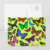 Carte Postale Papillons colorés (Devant / Derrière)