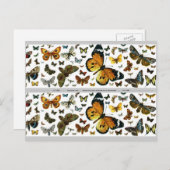 Carte Postale Papillons colorés Antiquaire Signet d'image (Devant / Derrière)