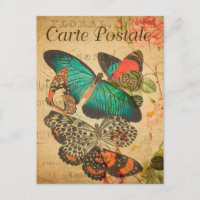Papillons colorés vintages et papillons Moth Franç