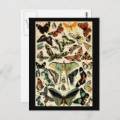 Carte postale Papillons d'Adolphe Millot (Devant / Derrière)