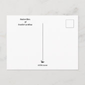 Carte Postale Papillons de Caroline du Sud (Dos)