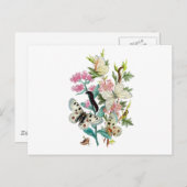 Carte Postale Papillons de l'été (Devant / Derrière)