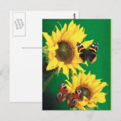 Carte Postale Papillons de l'été 2 (Devant / Derrière)