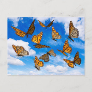 Carte Postale Papillons de monarque dans le ciel