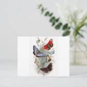 Carte Postale Papillons d'Europe vintage (Debout devant)