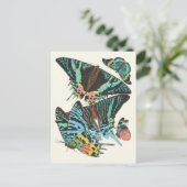 Carte Postale Papillons | Emile-Allain Séguy -> (Debout devant)