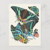 Carte Postale Papillons | Emile-Allain Séguy -> (Devant)