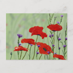 Carte Postale Papillons et boutons de bachelor