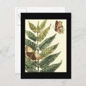 Carte Postale Papillons et Feuilles avec cadre noir (Devant / Derrière)