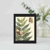 Carte Postale Papillons et Feuilles avec cadre noir (Debout devant)