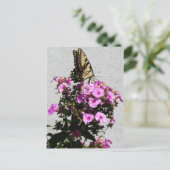 Carte Postale Papillons et gloires du matin (Debout devant)