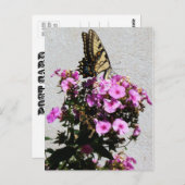 Carte Postale Papillons et gloires du matin (Devant / Derrière)