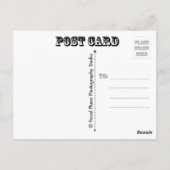 Carte Postale Papillons et gloires du matin (Dos)