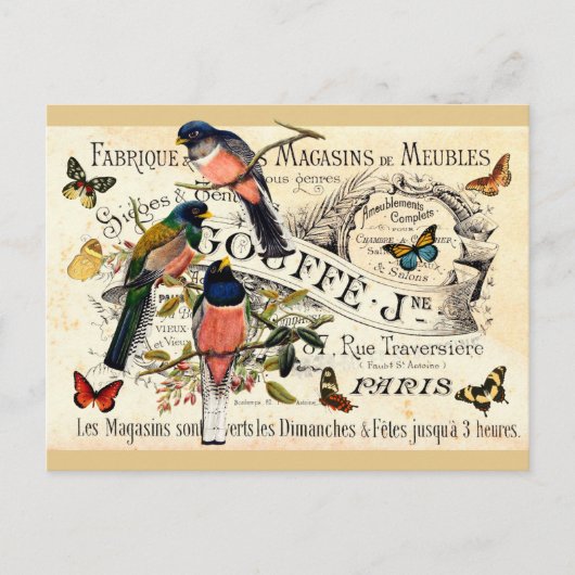 Carte Postale Papillons et oiseaux vintage sur une annonce franç (Devant)