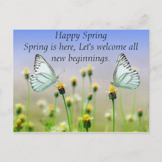 Carte Postale Papillons Fleurs