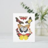Carte Postale Papillons, Fond Transparent, (Debout devant)