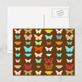 Carte Postale Papillons, marron, turquoise et corail (Devant / Derrière)