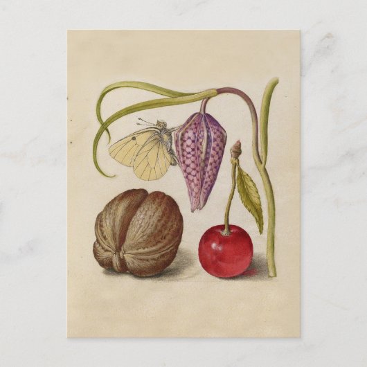 Carte Postale Papillons noix Fleur Cerisier Aquarelle Art (Devant)