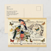 Carte Postale Papillons & Oiseaux de Collection sur une Annonce  (Devant / Derrière)