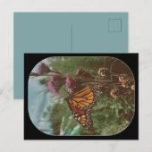 Carte Postale papillons orange  (Devant / Derrière)