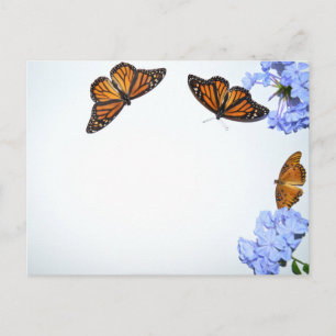 Carte Postale Papillons printaniers