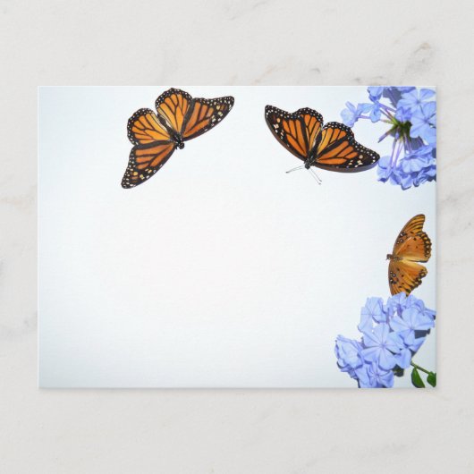 Carte Postale Papillons printaniers (Devant)