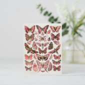 Carte Postale Papillons rose vintage (Debout devant)