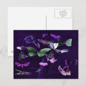 Carte Postale Papillons Sur Violet (Devant / Derrière)
