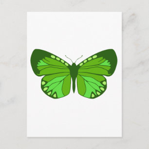 Carte Postale Papillons verts