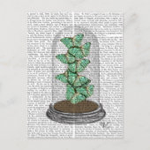 Carte Postale Papillons verts dans Bell Jar 2 (Devant)