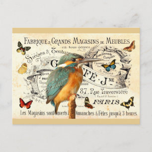 Carte Postale Papillons Vintage & Oiseau Martin-Pêcheur sur une 