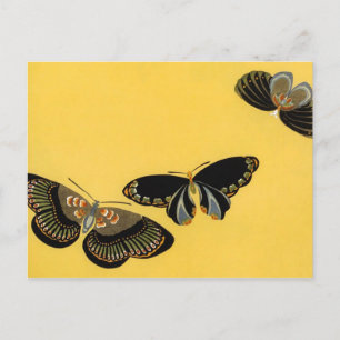 Carte Postale Papillons vintages