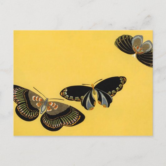 Carte Postale Papillons vintages (Devant)